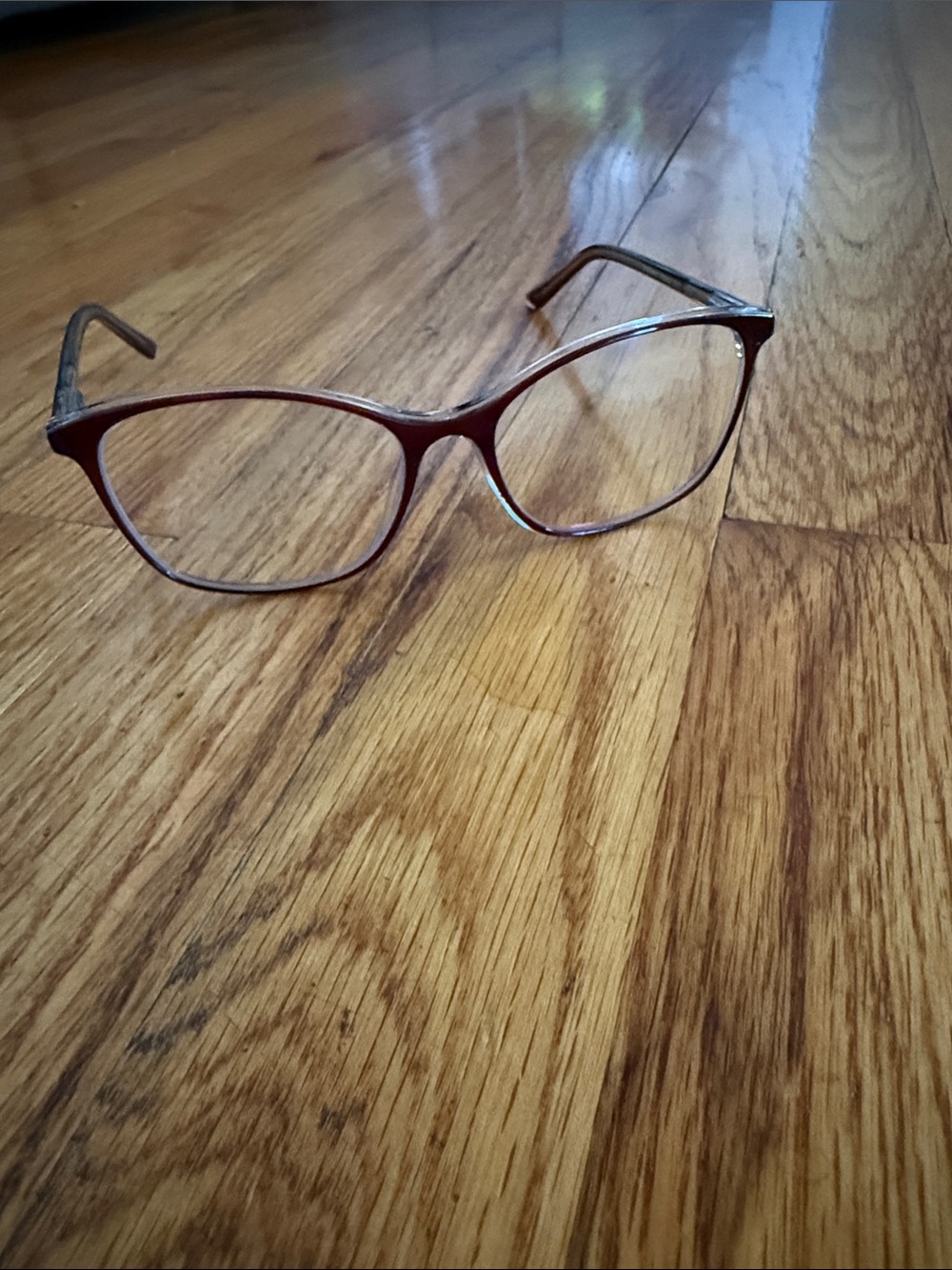 Women's Via Spiga Red Cat-Eye Eyeglass Frames - Stylish Everyday Accessory